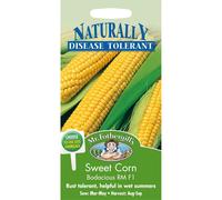 Mr Fothergills - Pictorial Packet - Vegetable - Sweet Corn Bodacious RM F1 - 25 Seeds