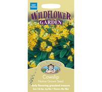 Mr Fothergills - Pictorial Packet - Wildflower - Cowslip - 75 Seeds