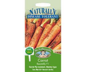 Mr Fothergills Resistafly F1 Carrot - Pictorial Packet, 400 Seeds - Fly-Resistant Nantes-Type