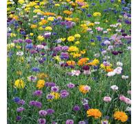 Mr Fothergills Rhs Cottage Garden Mix Flower Seeds