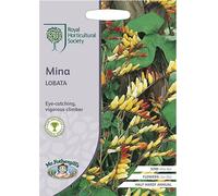 Mr.Fothergill's RHS Easy Grow Your Own Summer Mina Lobata Seeds Packet