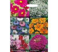 Mr Fothergill's - RHS Flowers for Cutting Collection Seeds