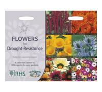 Mr Fothergills Rhs Flowers For Drought Resistance Flower Seeds