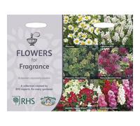 Mr Fothergills Rhs Flowers For Fragrance Flower Seeds