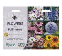 Mr Fothergills Rhs Flowers For Pollinators Flower Seeds
