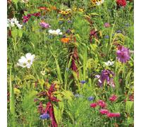 Mr Fothergills Rhs For Birds Mix Flower Seeds