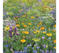 Mr Fothergill's RHS Easy Sow Pollinator Flowers For Insects Seeds Scatter Box
