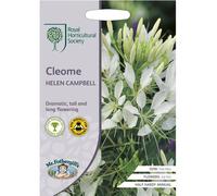 Mr.Fothergill's RHS Grow Your Own Cleome Helen Campbell Seeds Packet