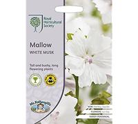 Mr.Fothergill's RHS Grow Your Own Garden Mallow White Musk Seed Packet (100 Seeds) - White Musk Mallow, Long-Flowering Summer Blooms