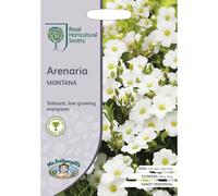 Mr.Fothergill's RHS Grow Your Own Summer Arenaria Montana Seeds Packet