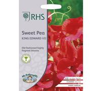 Mr.Fothergill's RHS Grow Your Own Sweet Pea King Edward VII Seeds Pkt