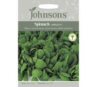 Mr Fothergill's RHS Spinach Apollo F1 Grow Your Own Vegetables Seeds Packet