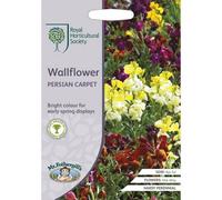Mr Fothergills Rhs Wallflower Persian Carpet Flower Seeds