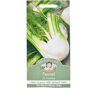 Mr. Fothergill's Fennel Di Firenze Vegetable Seeds