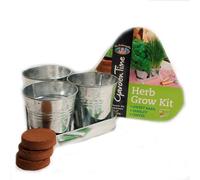 Mr Fothergill's Stylish Triangular Metal Pots Grow Your Own Herb Collection Kit