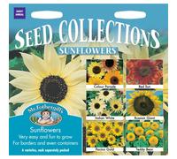 Mr Fothergills Sunflower Collection Pictorial Packet - 6 Varieties: Colour Parade, Red Sun, Italian White, Russian Giant, Pacino Gold & Teddy Bear