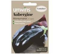 Mr Fothergills Unwins Vegetable Seeds Aubergine Moneymaker F1