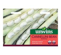 Mr Fothergills Unwins Vegetable Seeds Cannelllini Bean Sorano