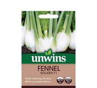 Mr Fothergills Unwins Vegetable Seeds Fennel Solaris F1