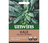 Mr Fothergills Unwins Vegetable Seeds Kale Cavolo De Nero