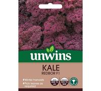 Mr Fothergills Unwins Vegetable Seeds Kale Redbor F1