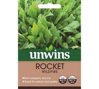 Mr Fothergills Unwins Vegetable Seeds Rocket Wildfire