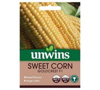 Mr Fothergills Unwins Vegetable Seeds Sweet Corn Goldcrest F1