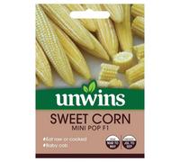 Mr Fothergills Unwins Vegetable Seeds Sweet Corn Mini Pop F1