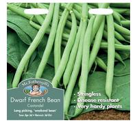 Mr Fothergills - Vegetable - Broad Bean Crimson Flowered - 50 Seeds