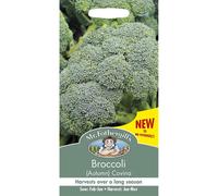 Mr Fothergills - Vegetable - Broccoli (Autumn) Covina - 50 Seeds