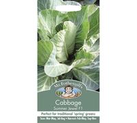 Mr Fothergills - Vegetable - CABBAGE Summer Jewel F1 - 50 Seed