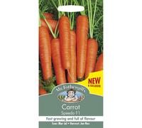 Mr Fothergills - Vegetable - Carrot Speedo F1 - 350 Seeds