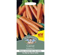 Mr Fothergills - Vegetable -Carrot Volcano F1 - 350 Seeds
