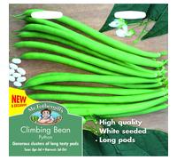 Mr Fothergills - Vegetable - Climbing Bean Python - 50 Seeds