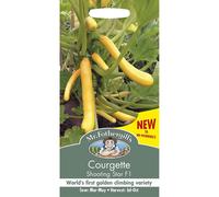 Mr Fothergills - Vegetable - Courgette Shooting Star F1 - 10 Seed
