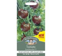 Mr Fothergills - Vegetable - Tomato Sunchocola F1 - 10 Seeds