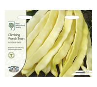 Mr Fothergill's Vegetables Climbing French Bean Golden Gate Seeds