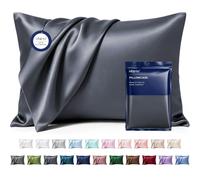 MR&HM Satin Pillowcase 2 Pack, Queen Size 20"x30", Space Grey
