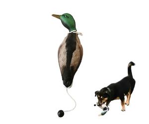 MR.HOKWY Dog Training Duck Dummy- EVA Material Trainer with Throwing Toggle, Dog Retrieval Training Toys Bird Dummy Mallard Mimics Duck Bumper Toy for Puppies or Adult Hunting Dogs