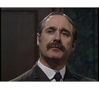 MR JUSTICE RAFFLES