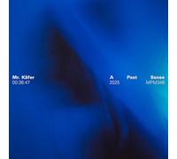 Mr. Käfer – A Past Sense – Vinyl