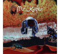 Mr. Käfer - Lost Reflections / Orientation [VINYL]