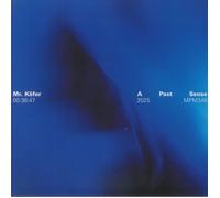 Mr. Käfer - A Past Sense [VINYL]