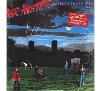 Mr. Mister - MR.MISTER - WELCOME TO THE REAL WORLD LP (11889)