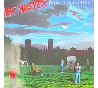 Mr Mister - Mr Mister Welcome To The Real World LP RCA PL89647 EX/EX 1985
