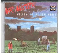 Mr. Mister - Welcome To The Real World