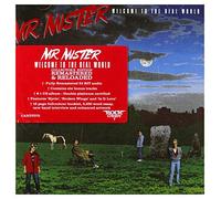 Mr. Mister - Welcome To The Real World