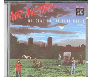 Mr. Mister - Welcome To The Real World