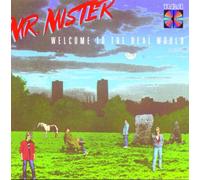 Mr. Mister - Welcome to the Real World