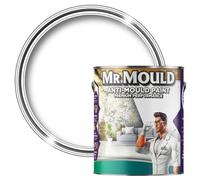 Mr Mould Anti Damp Paint | Damp Seal Prevent Build-up of Mildew | Anti Condensation | Paint for Wall and Ceiling (White, 1 Liter)